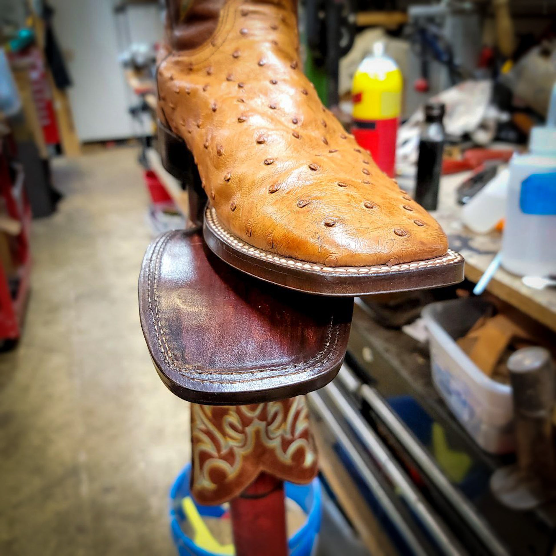 a pair of square toe Tony Lama Ostrich cowboy boots after being repaired with new leather soles at the cowboy boot repair center.